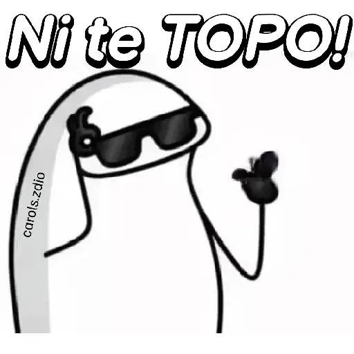 Flork divertido animado 🧦🕶️