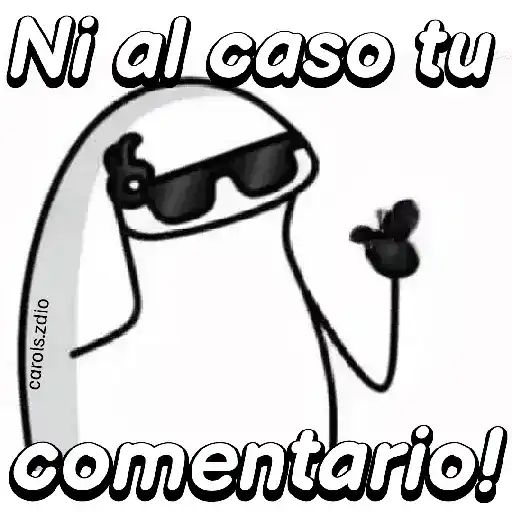 Flork divertido animado 🧦🕶️