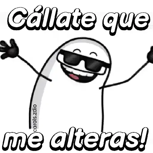Flork divertido animado 🧦🕶️