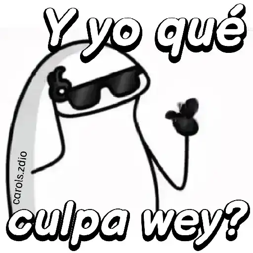Flork divertido animado 🧦🕶️