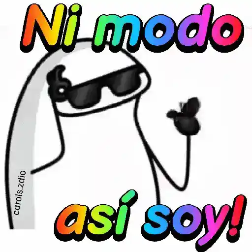 Flork divertido animado 🧦🕶️