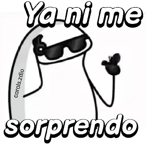 Flork divertido animado 🧦🕶️