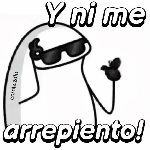 Flork divertido animado 🧦🕶️