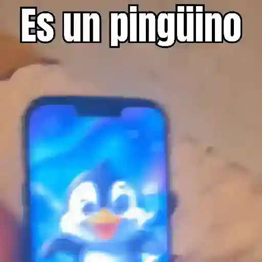 Niña MotoPingüino 🐧🛵 TikTok