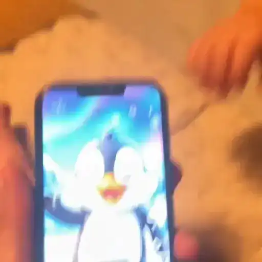 Niña MotoPingüino 🐧🛵 TikTok