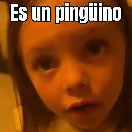 Niña MotoPingüino 🐧🛵 TikTok preview