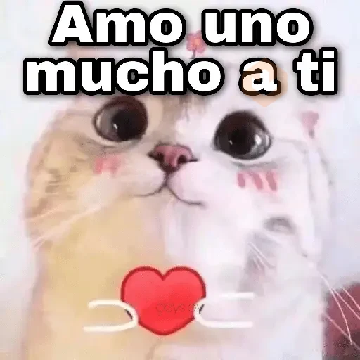 Gatos con amor 3❣️✨ sticker 26