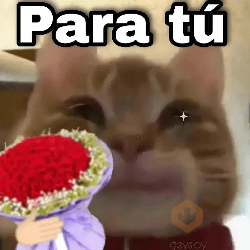 Gatos con amor 3❣️✨ sticker 20