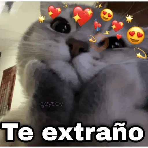 Gatos con amor 3❣️✨ sticker 13
