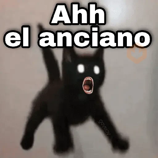 Gatos con amor 3❣️✨ sticker 17