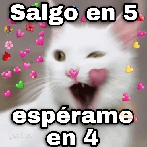 Gatos con amor 3❣️✨ sticker 12