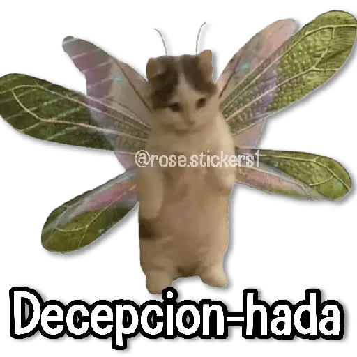 Hadas Memes🧚🌟🪄