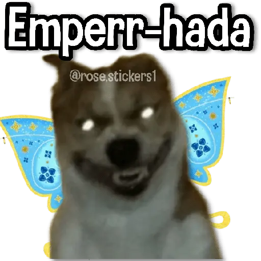 Hadas Memes🧚🌟🪄