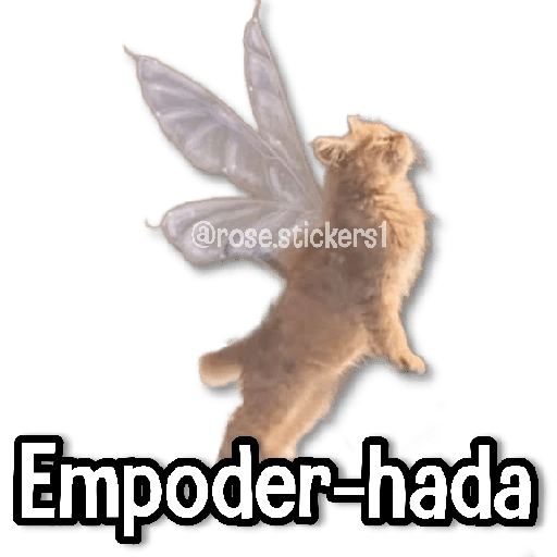 Hadas Memes🧚🌟🪄 preview