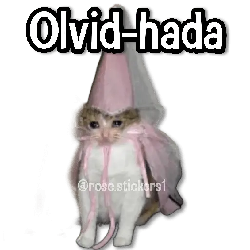Hadas Memes🧚🌟🪄