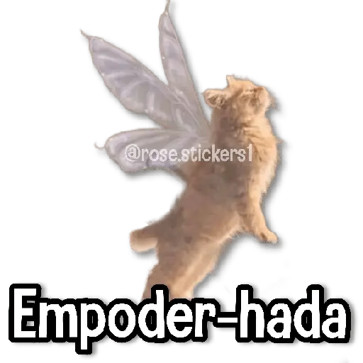 Hadas Memes🧚🌟🪄