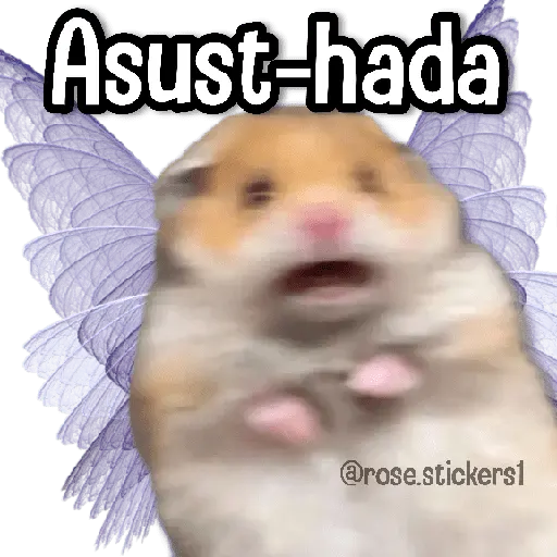 Hadas Memes🧚🌟🪄