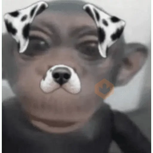 stickers de tik tok sticker 18