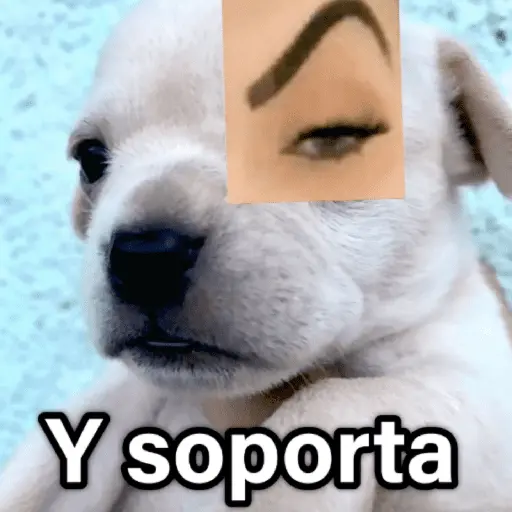 🐶🐱🐵 ANIMALITOS 2 🐵🐱🐶