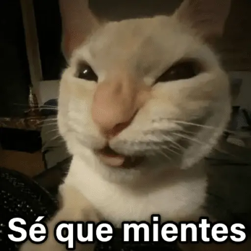 🐶🐱🐵 ANIMALITOS 2 🐵🐱🐶