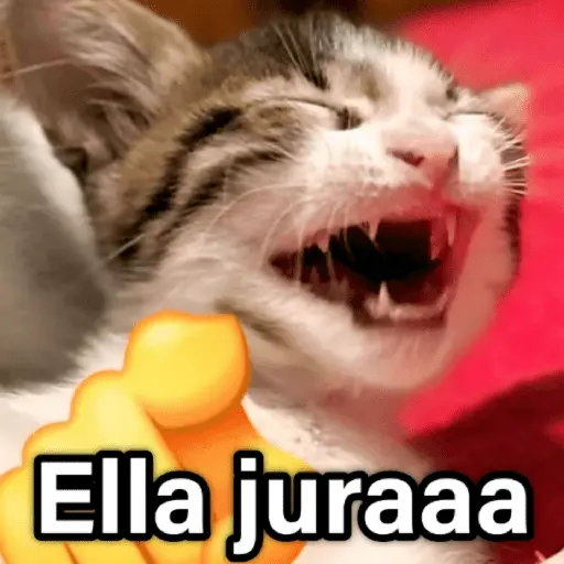 🐶🐱🐵 ANIMALITOS 2 🐵🐱🐶