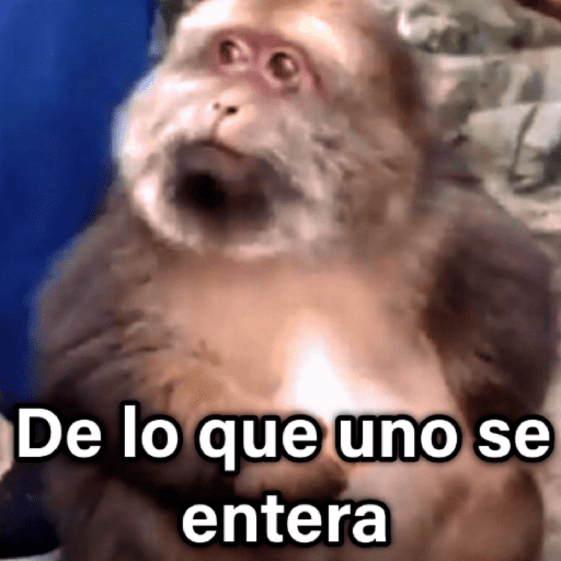 🐶🐱🐵 ANIMALITOS 2 🐵🐱🐶 preview