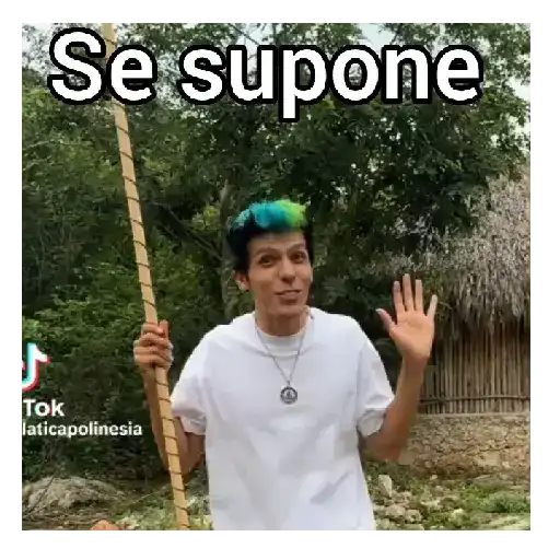 Los polinesios 🍃💓