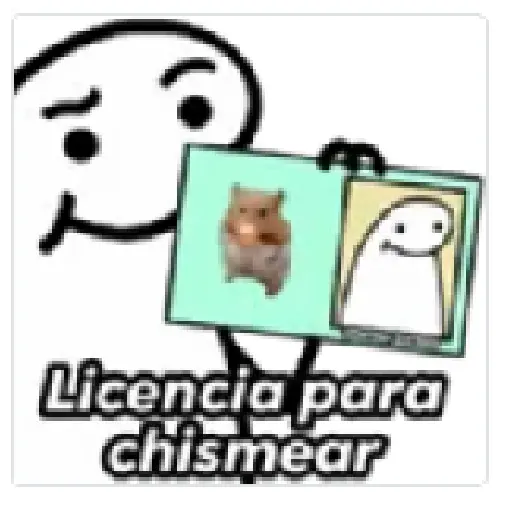 flork 💙💙 licencias 