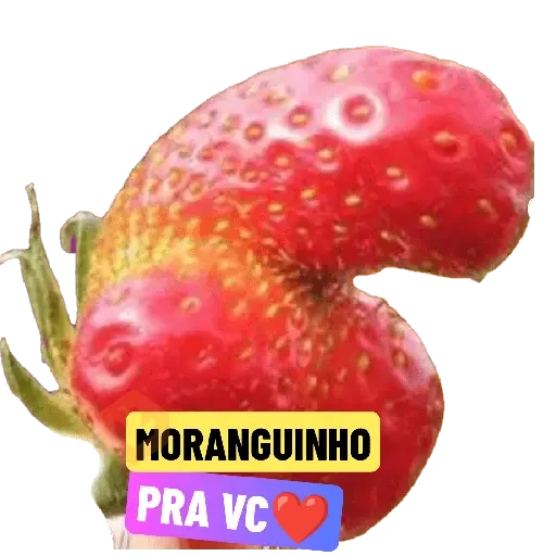 novas 10/4/24 sticker 17