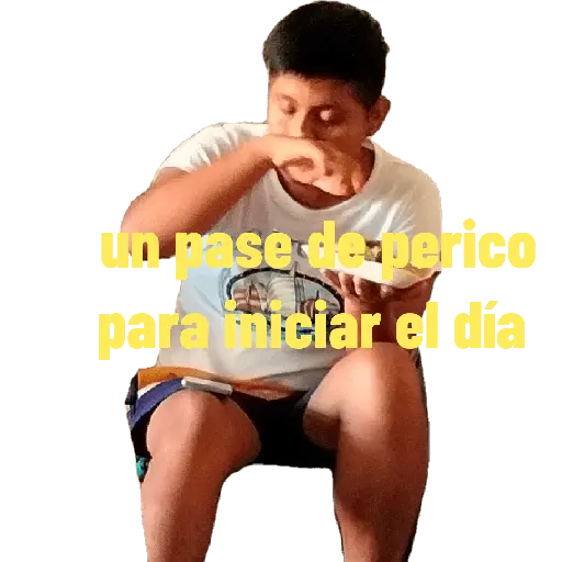 Mis pegatinas