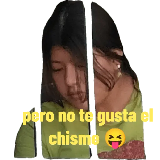 Mis pegatinas