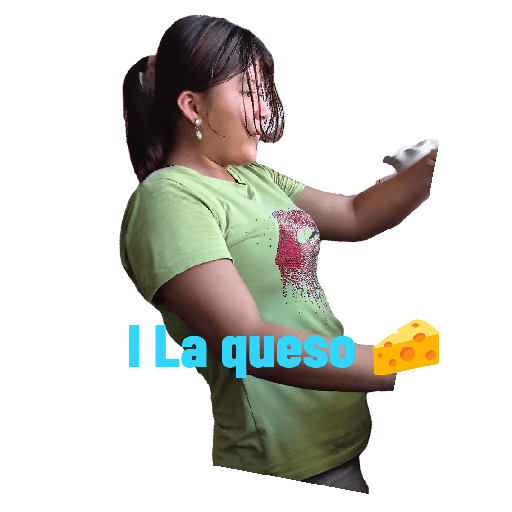 Mis pegatinas preview