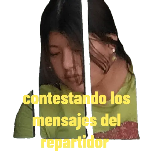 Mis pegatinas