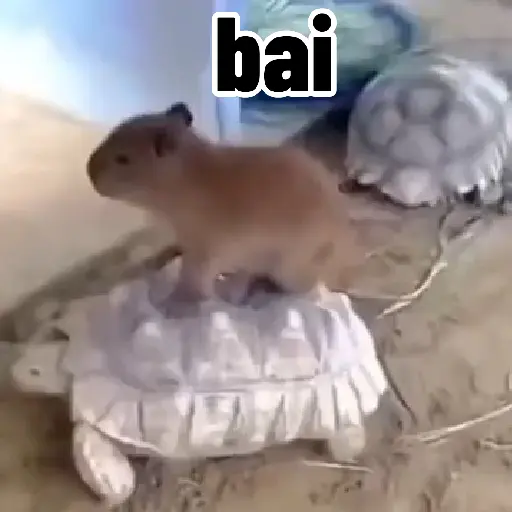 Capibara 🤎