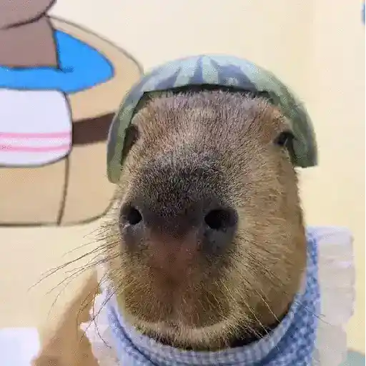 Capibara 🤎