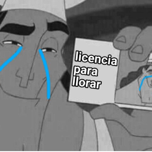 licencias preview