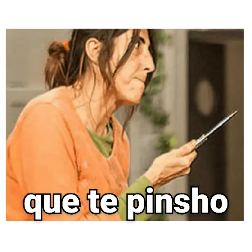 la que se avecina