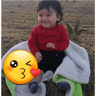 los  polinesios