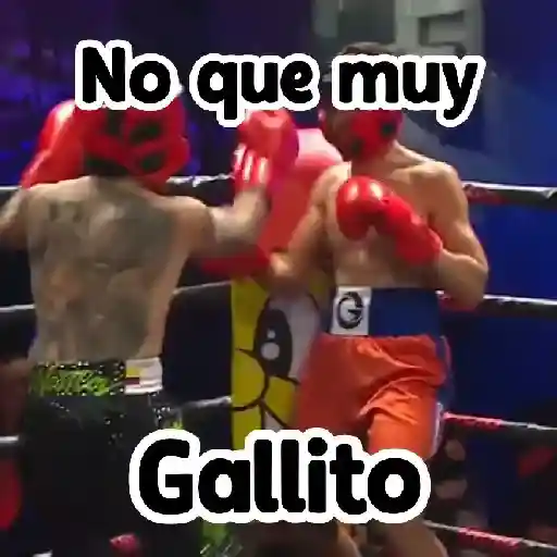 🎮 Westcol 🥊