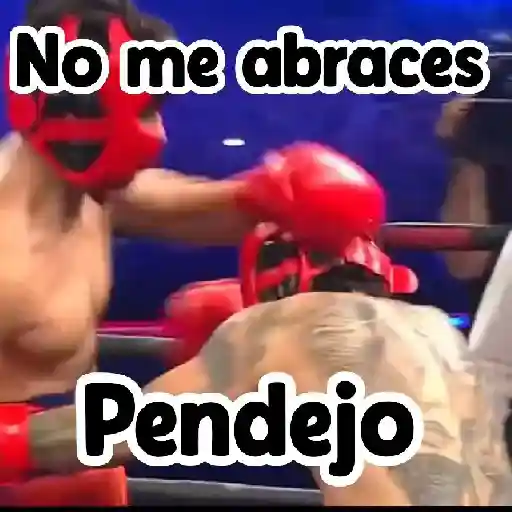 🎮 Westcol 🥊