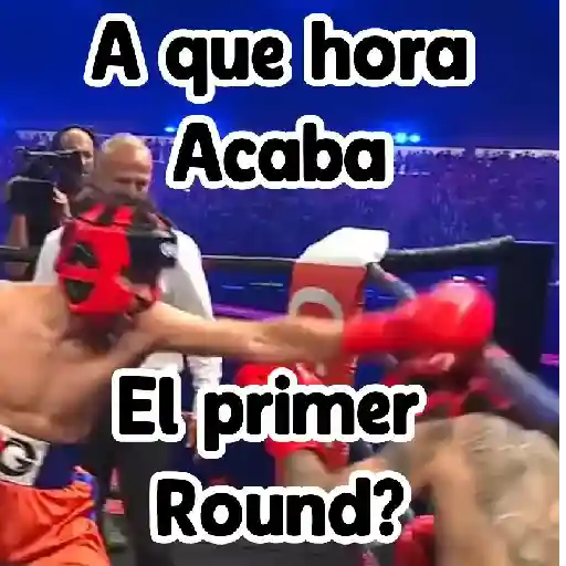 🎮 Westcol 🥊