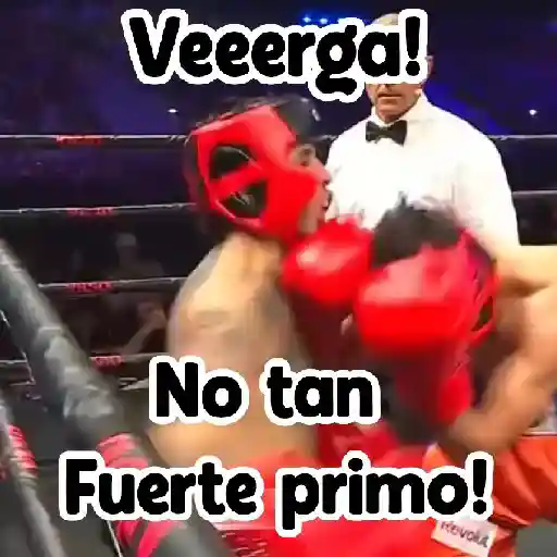 🎮 Westcol 🥊 preview
