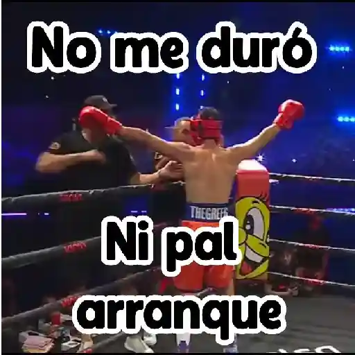 🎮 Westcol 🥊