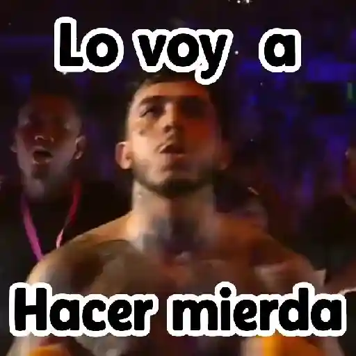 🎮 Westcol 🥊