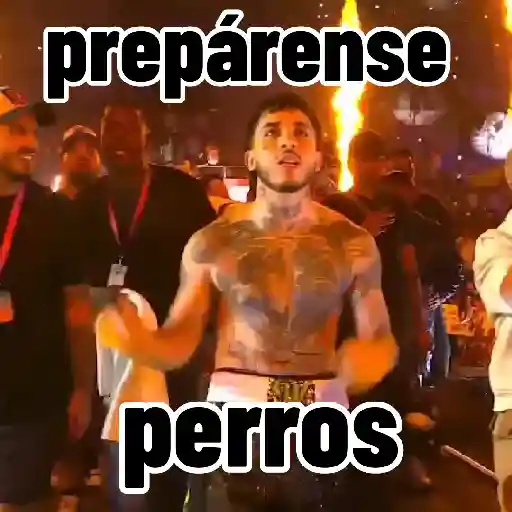 🎮 Westcol 🥊