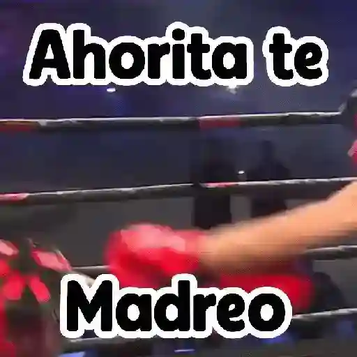 🎮 Westcol 🥊