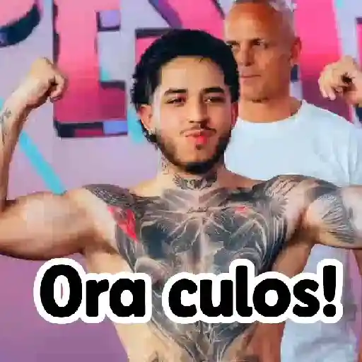 🎮 Westcol 🥊