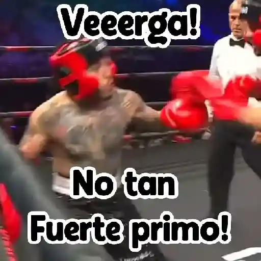 🎮 Westcol 🥊