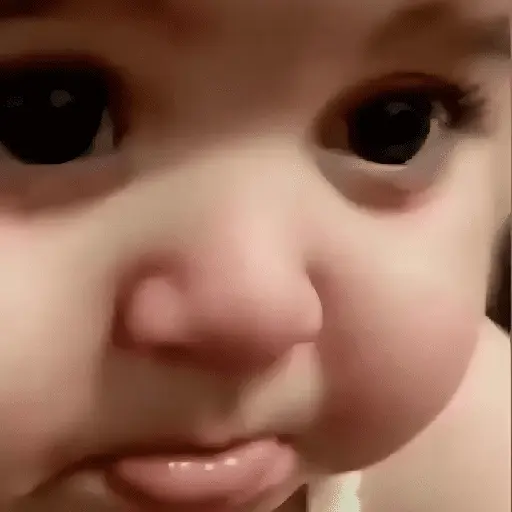 💤✨️Bebes Tiernos Pal Chat✨️💤