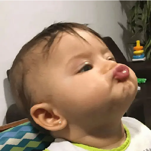 💤✨️Bebes Tiernos Pal Chat✨️💤